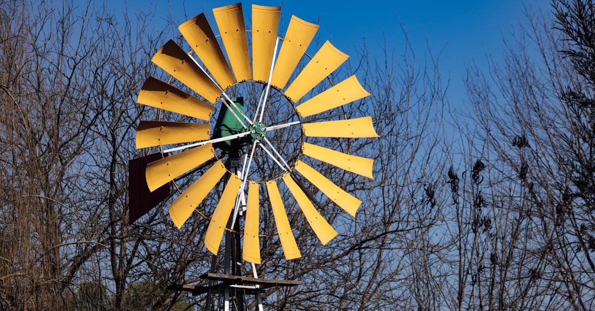 Toegankelijkheidstools voor kleurcontrasten en toetsenbordgebruik