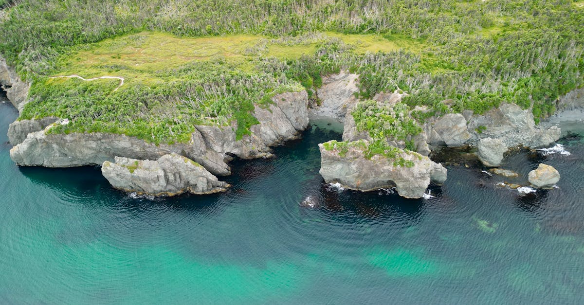 Praktische checklist: WCAG-conformiteit stap voor stap